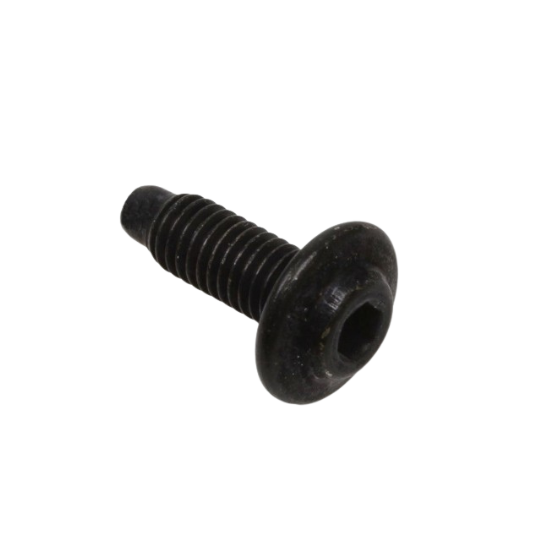 Ducati Screw