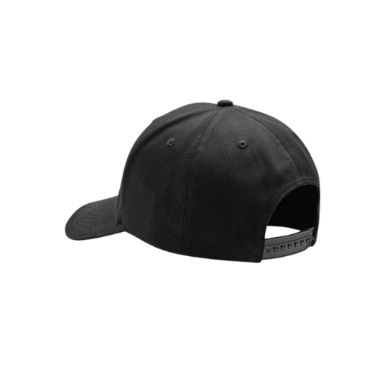 COMPANY 2.0 BLACK CAP  back