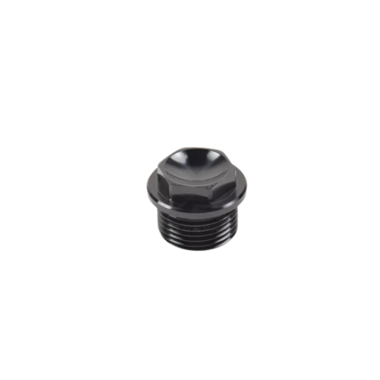 Screw Plug
