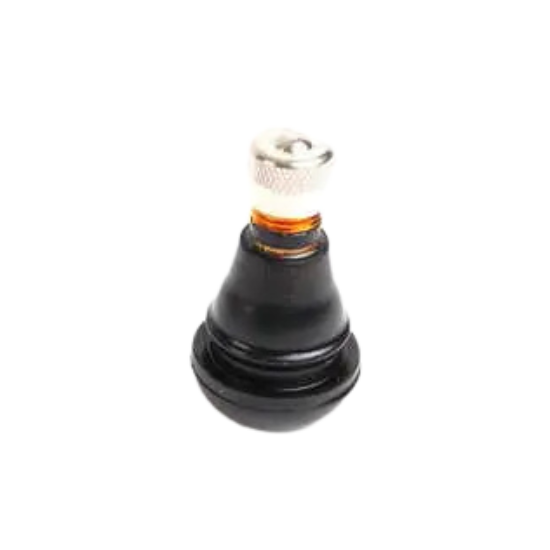 Valve Stem