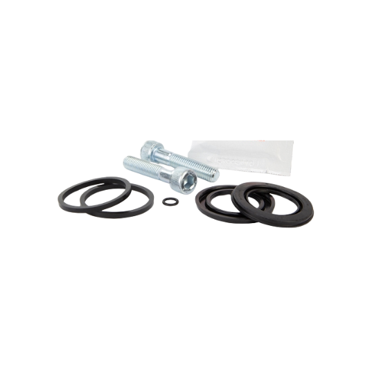 Rear Brake Disc (Rotor)