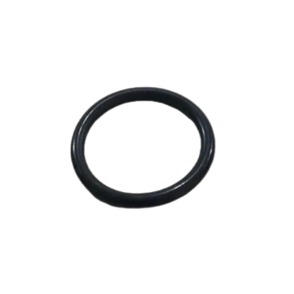 Idle Control O-Ring