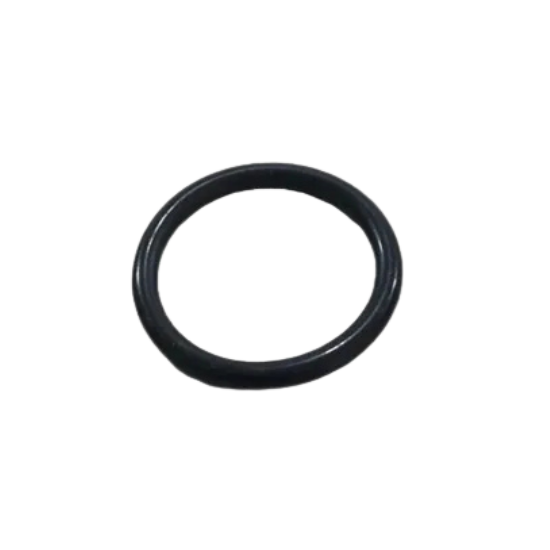 Idle Control O-Ring
