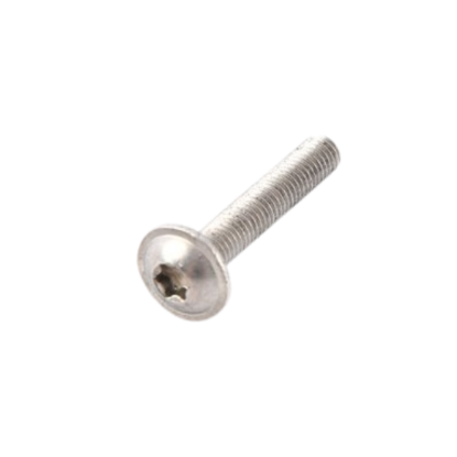 Fillister Head Screw M5X30