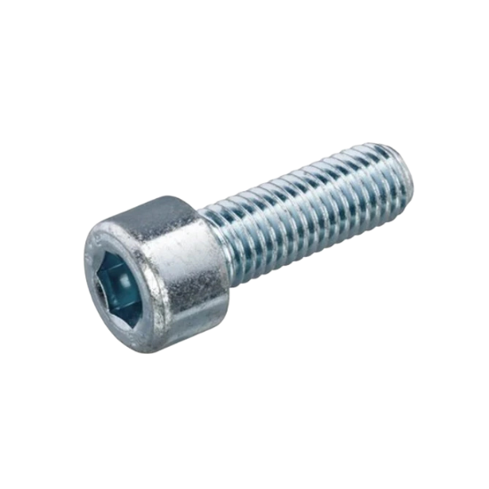 BMW Screw