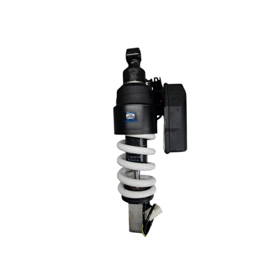 Road Shock BMW Sachs ESA